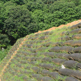 Cold-proof & Dust-resistant Ecological Landscape Nonwoven Fabric